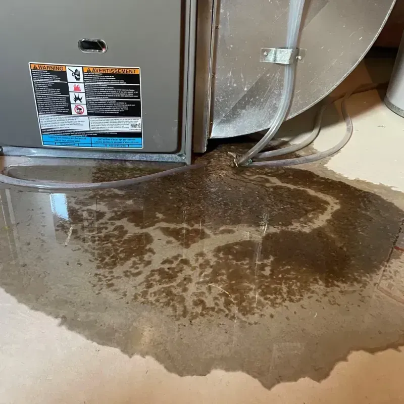 Appliance Leak Cleanup in Benjamin, UT